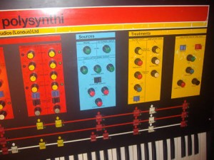 Rare EMS Polysynthi (04)